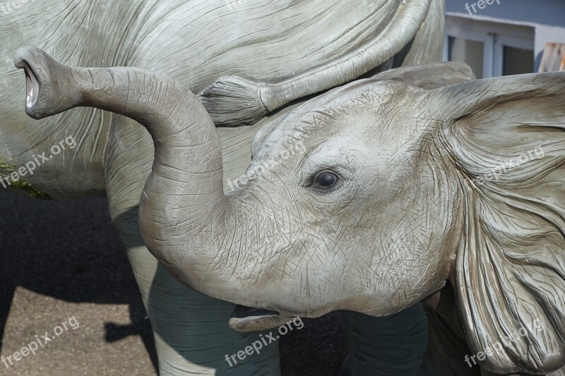 Elephant China Summer Pond Lake