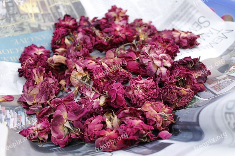 Dry Roses Potpourri Petal Floral Flower