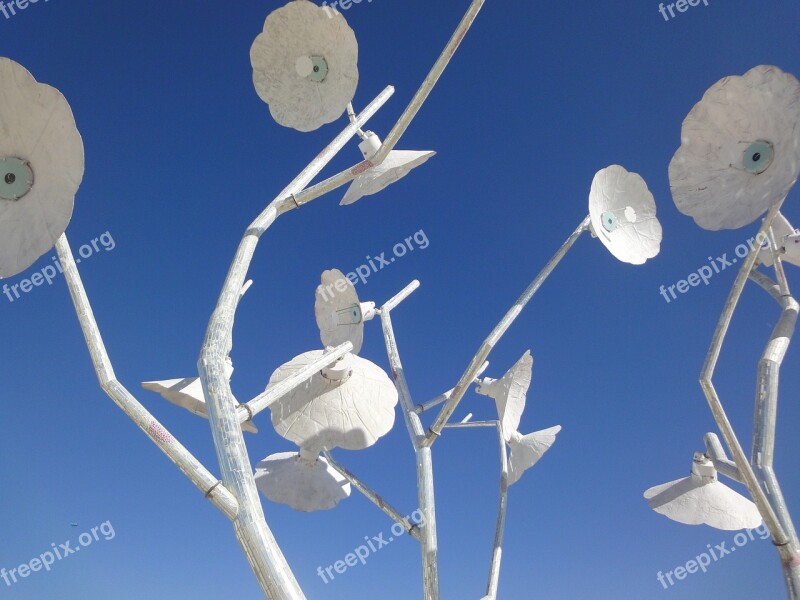 Burning Man Flowers Blue Sky Free Photos