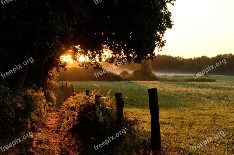 Duvenstedter Brook Sunrise Morgenstimmung Free Photos