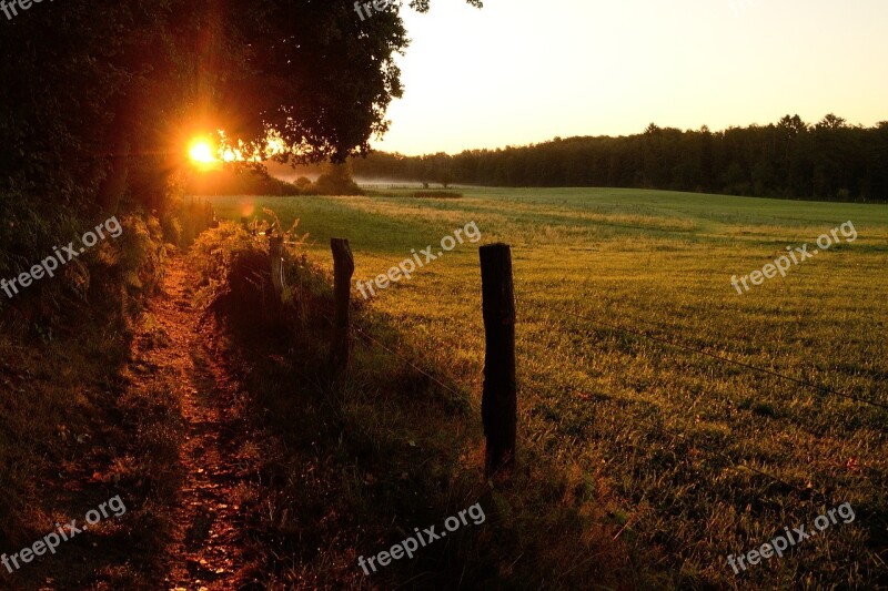 Duvenstedter Brook Sunrise Morgenstimmung Free Photos