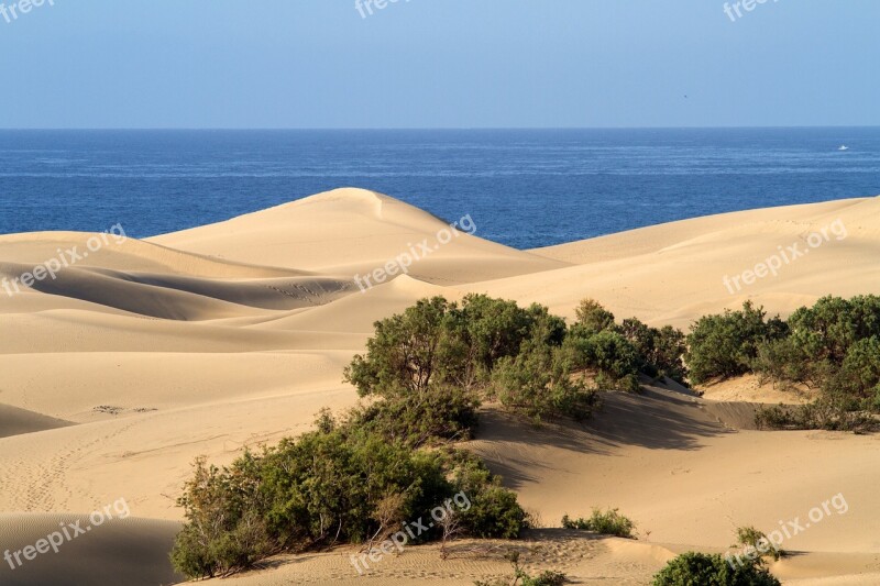 Gran Canaria Sand Dunes Maspalomas Free Photos