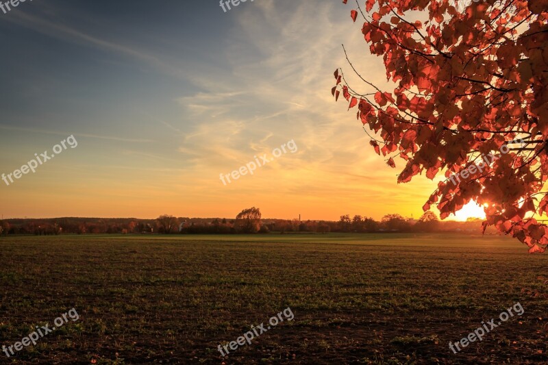 Autumn Autumn Mood Autumn Beginning Autumn Forest Colorful Leaves