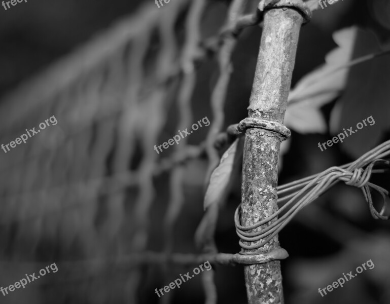 Fence Wire Depth Of Sharpness Atmosphere Architecture