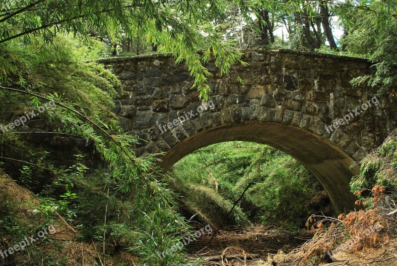 Bridge Roman Forest Arc Stone