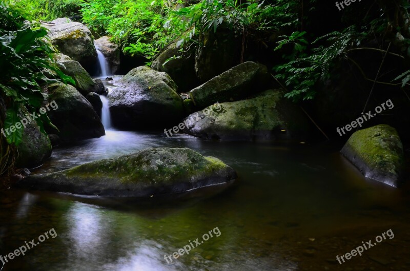 Water Flow Rock Green Leaves Natural Brook