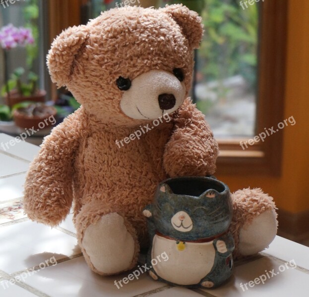 Old Teddy Bear With Mug Teddy Bear Toy Stuffed Animal Mug