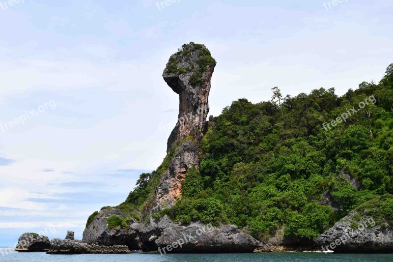 Chicken Iceland Thailand Krabi Koh Gai Koh Kai