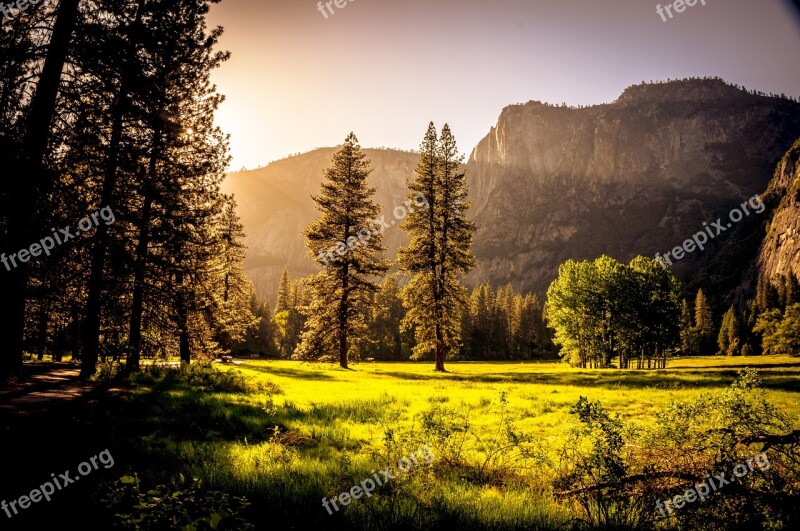 Sunset Meadow Glow Sunlight Trees