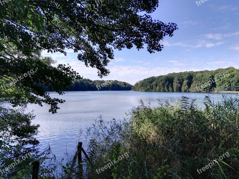 Lake Water Hiking Autumn Late Summer