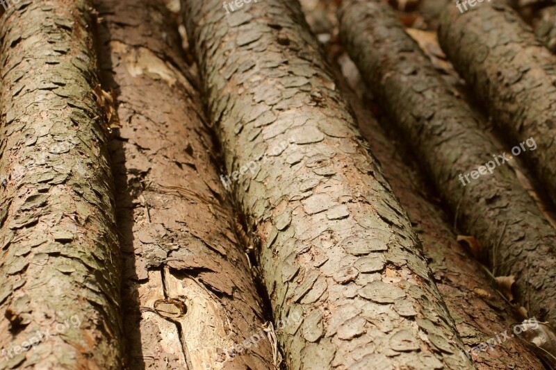 Wood Felling Woodpile Log Tribe