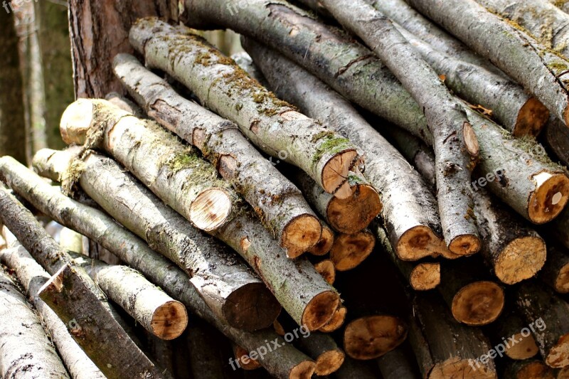 Woodpile Logging Wood-cutting Forest Wood