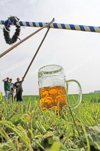 Maypole Setting Up Maypole Set Up Bavarian Traditions Pole Pairs