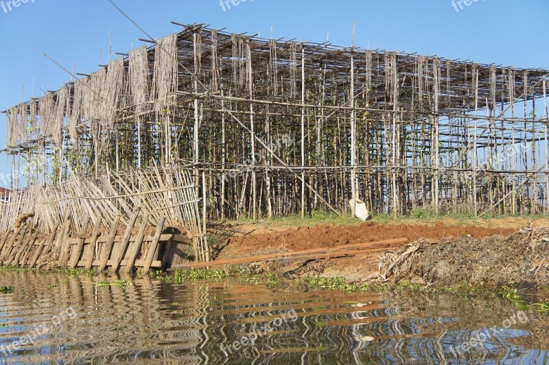 Construction Scaffolding Scaffold Bamboo Bamboo Scaffolding