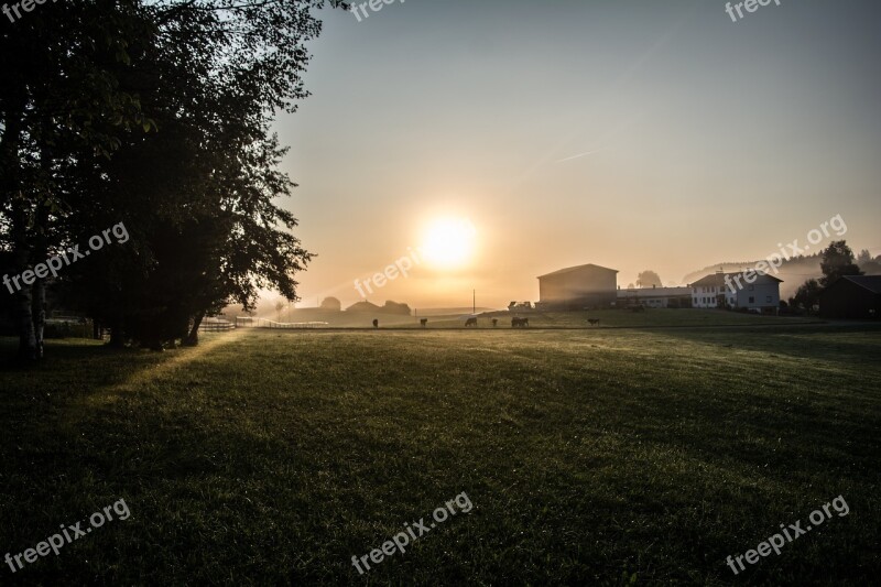 Field Rural Farmer Sun Sunrise