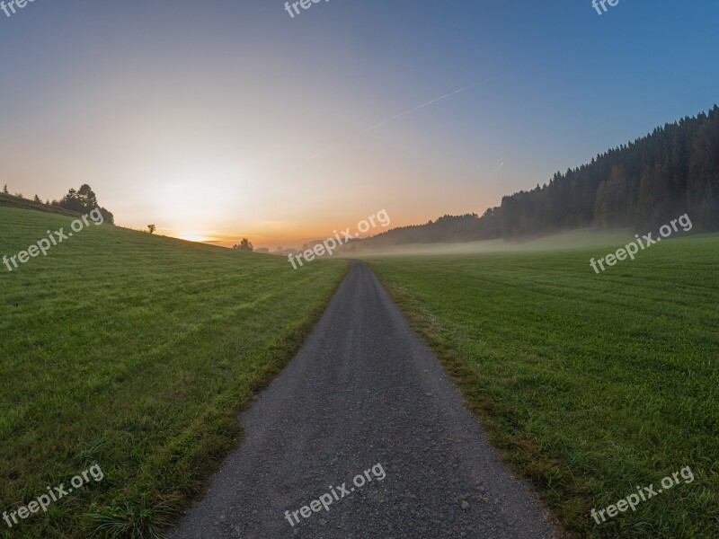 Sunrise Fog Path Grass Gravel