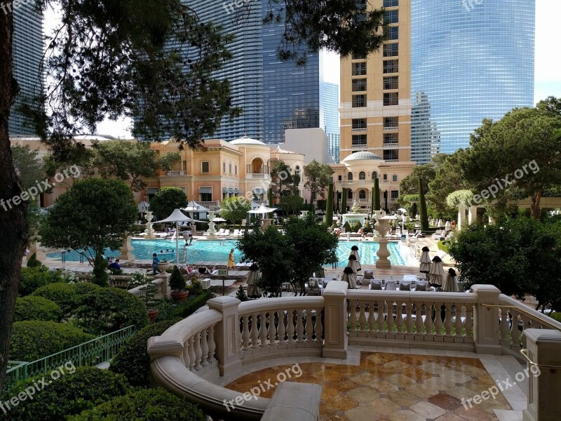 Bellagio Pool Pool Swimming Bellagio Afternoon