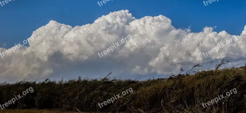 Reeds Countryside Clouds Cumulus White