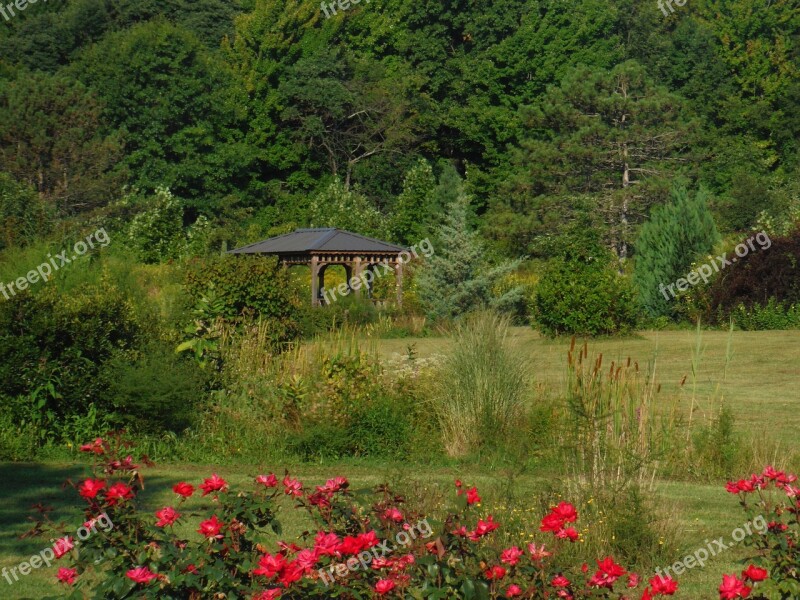 Pagoda Flowers Nature Bloom Botanical