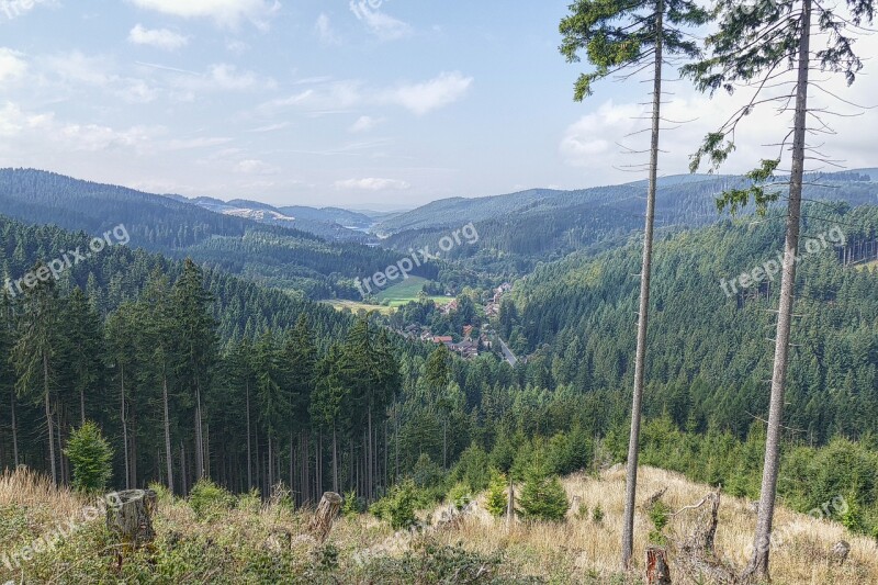 Landscape View Nature Forest Dam