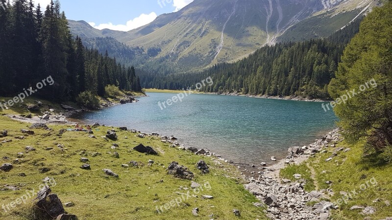 Bergsee Mountains Alp Summer Forest