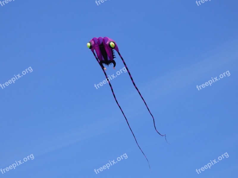 Wind Dragon Dragon Kite Flying Kites Rise Dragon Fly