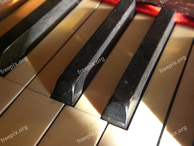 Piano Keyboard Keys Instrument Piano Keyboard