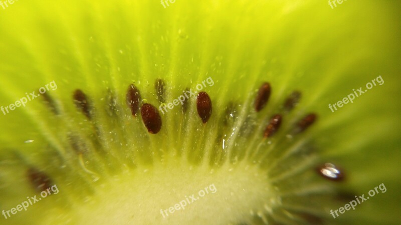 Kiwi Fruit Green Healthy Food