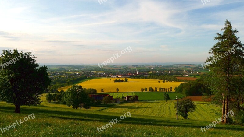 Spring Blooming Rape Field Landscape Nature Free Photos