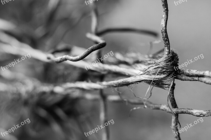 Wire Twine Fence Torn Atmosphere