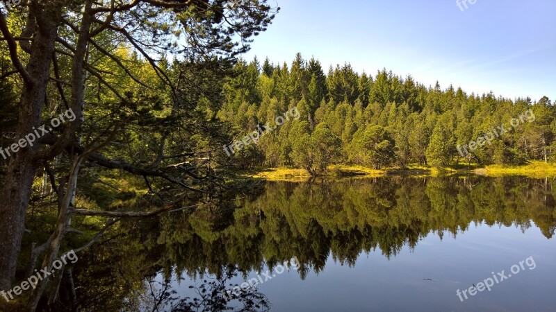 Black Lake Black Forest Mirroring Water Germany