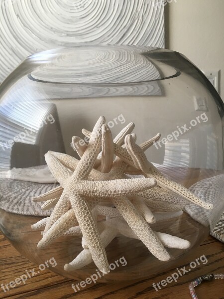 Starfish Beach Decor Glass Seashore