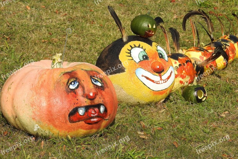 Pumpkin Pumpkins Halloween Autumn Decoration