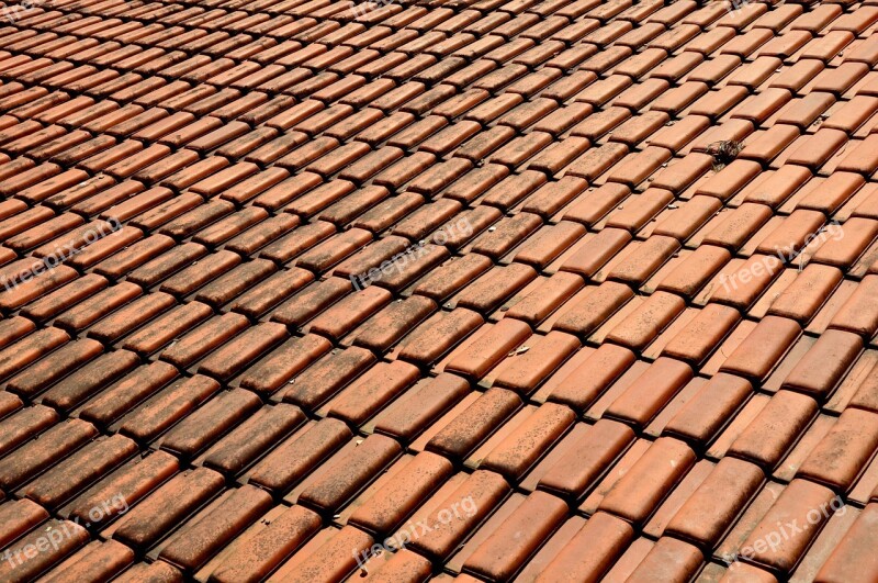 Inclined Clay Roof Tiles Roof Free Photos