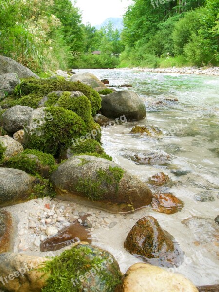 Creek Clammy Water White Water Nature