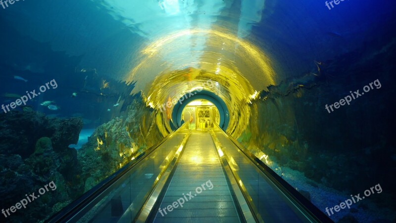 Taiwan Hualien Nmmba Tunnel Overnight