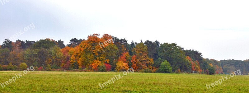 Autumn Autumn Panorama Autumn Mood Fall Comes Banner