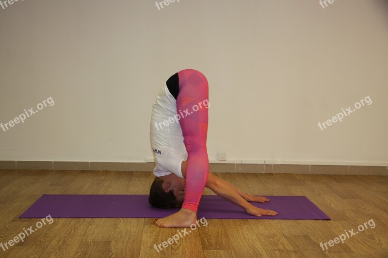 Yoga Sarasvati Asana Sports Gymnastics