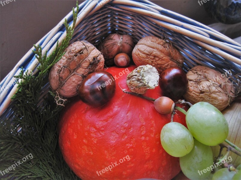 Autumn Basket Autumn Fruits Autumn Herbstdeko Thanksgiving