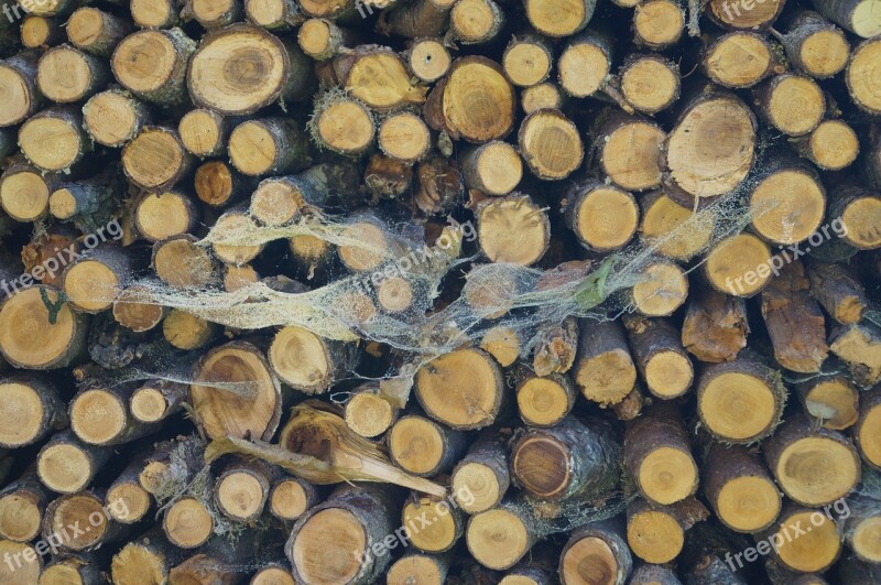 Wood Spider Webs Holzstapel Stacked Up Brown