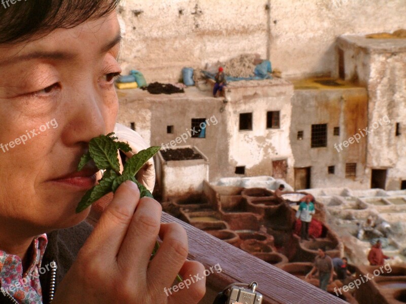 Fez Tannery Morocco Old Japanese Tourist