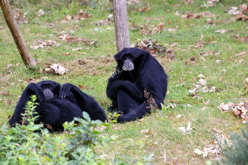 Branféré Visit Family Wild Pond