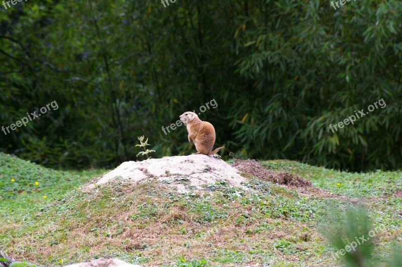 Branféré Visit Family Wild Pond