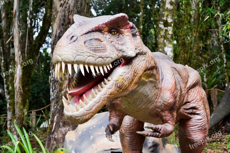 Dinosaur Robot Jurassic Free Photos