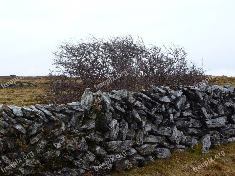 Stone Wall Burren Ireland Brown