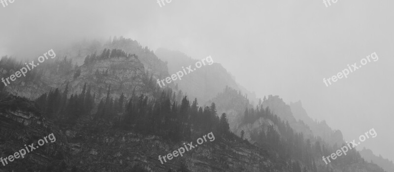 Fog Mountains Trees Mysterious Foreboding