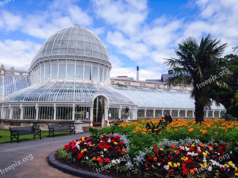 Belfast Botanical Capital Flower Plant