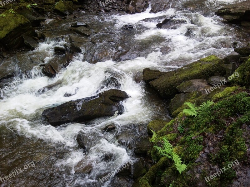 Nature Water River Wales Nature Conservation