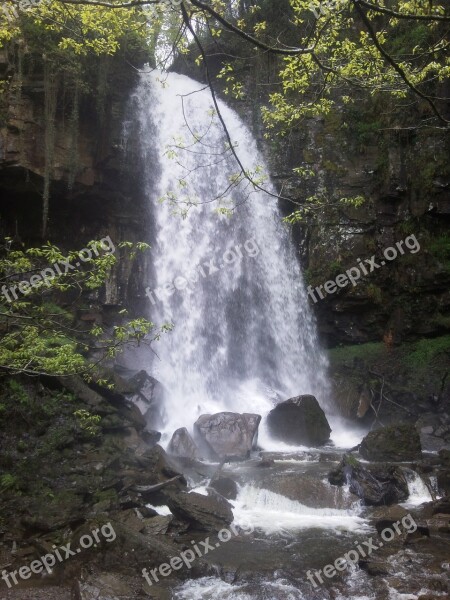 Nature Waterfall Wales Nature Conservation Melincourt Falls