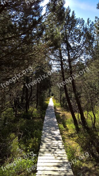 Moor Away Hiking Direction Boardwalk